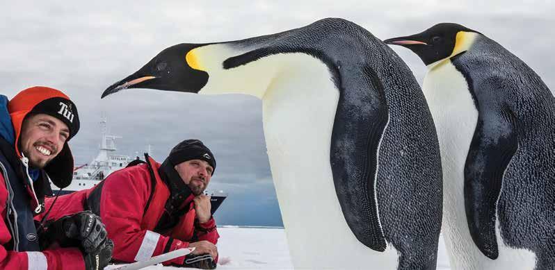 Emperor Penguins can be seen on Snow Hill Island mid November to mid December only.