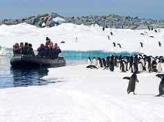 2019 EXPEDITIONS Spirit of Enderby 11 Jan & 09 Feb 2019 30 days $33020 Note: The 11 Jan departure ends in Invercargill and the 09 Feb departure ends in Christchurch.
