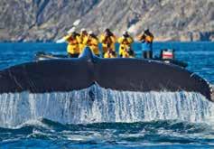 2018 EXPEDITIONS Ocean Nova^ 01, 08, 15 & 22 Sep 2018 10 days $11600 Optional activity (must be pre-booked): Kayaking $955.