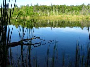 CRAWFORD LAKE CONSERVATION AREA p.