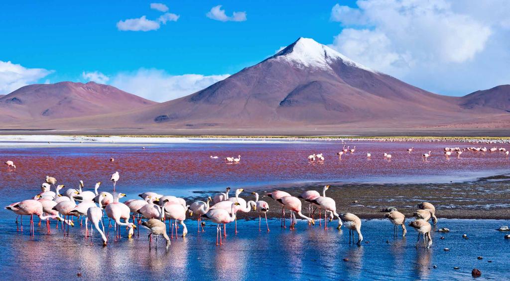 CHILE, BOLIVIA & PERU TOUR DOSSIER WEATHER AND CLIMATE Weather