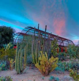 each morning Admission to and guided tours of Taliesin West and the Desert Botanical
