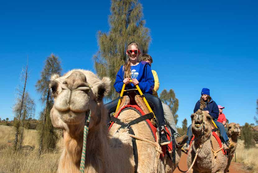 ULURU CAMEL TOURS Uluru Camel Tours is Australia s largest camel farm with more than 50 working camels. Your students will enjoy a fun and interactive experience with us.