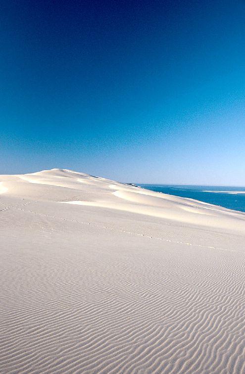 spectacular Dune of