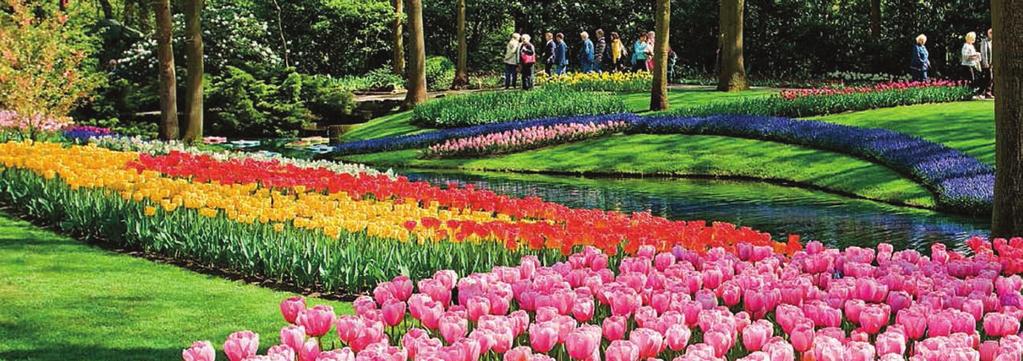 A CRUISE THROUGH EUROPE S LOW COUNTRIES ENJOY A 7-NIGHT CRUISE FEATURING KEUKENHOF, THE GROOT-BIJGAARDEN SPRING SHOW AND THE 35TH GHENT FLORALIES, ABOARD THE AMAWATERWAYS AMAVIOLA APRIL 27 - MAY 05,