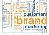 covers all essential aspects of an e-marketing strategy including strategic planning, branding