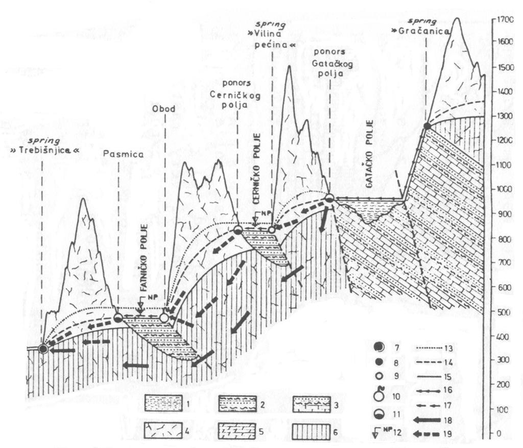 Figure 14. Simplified hydrogeological profile of Gatačko Polje - Trebišnjica spring (Milanović, 1972/1973) 1. Neogene sediments, 2. Eocene flush, 3. Creatoceous flush, 4. Karstified limestone, 5.