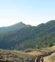 We can easily reach the summit of the panoramic Bertrand peak and the highest summit of Liguria region, the Saccarello montain.