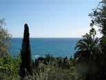 They chose this site because of its particularly mild climate. The 45 acres (18 hectares) of the Hanbury Botanical Gardens occupy the whole of Capo Mortola.