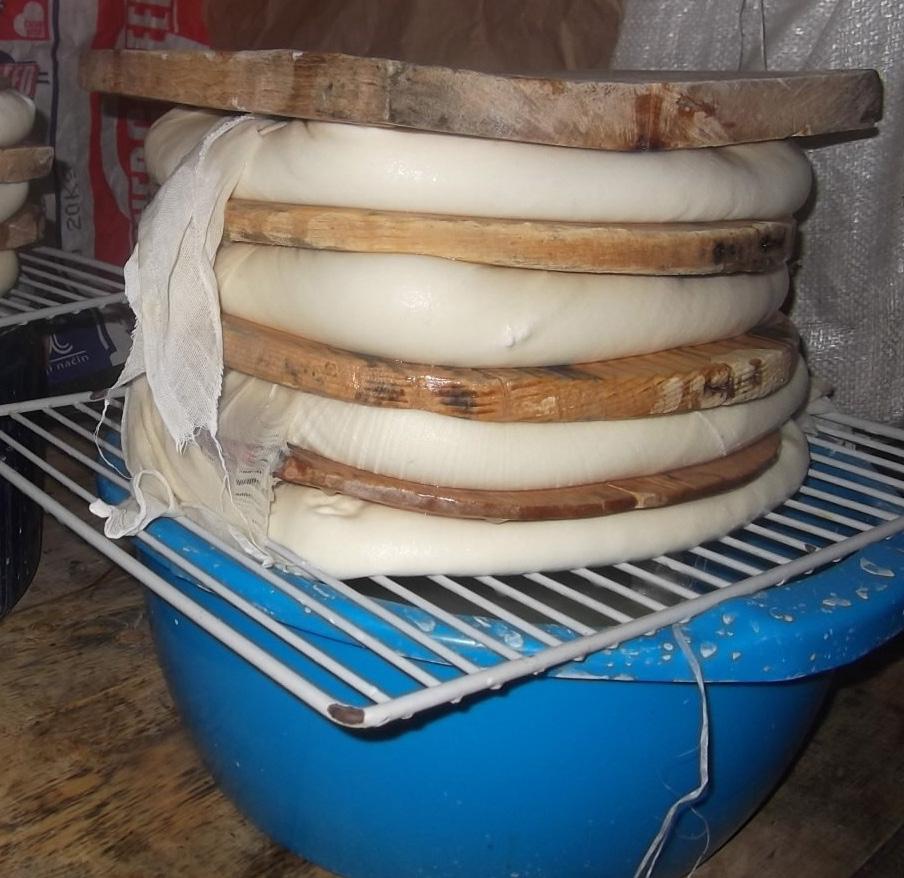 In the second phase, the curd is pressed with a wooden circular plank (Figure 3).