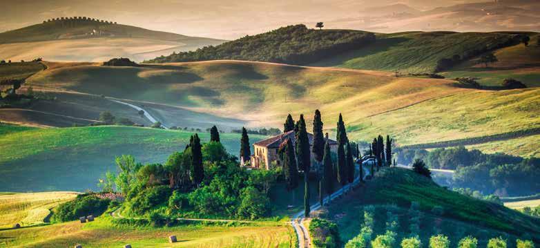 Tuscany Full immersion of the senses 7 days from only 344,- Tuscany landscape The following programme represents our suggestion for a great tour.