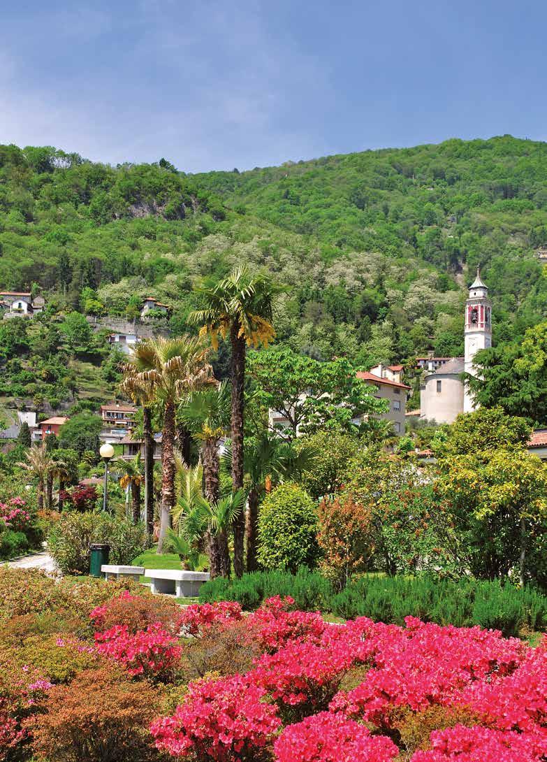 The gardens of Lake Maggiore & Lake Como 6 days from only 274,- All entrance fees included Isola Madre Gardens of Villa Taranto Garden of Isola Bella Villa del Balbianello The following programme