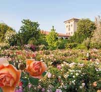 one of the oldest botanical gardens in Italy Finish with a visit to the picturesque fishing island, Isola dei Pescatori.