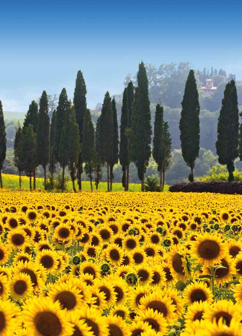 The Villas And Gardens of Tuscany 5 days from only 229,- All entrance fees included Villa di Geggiano Villa Gamberaia Boboli Garden Villa Torrigiani The following programme represents our suggestion