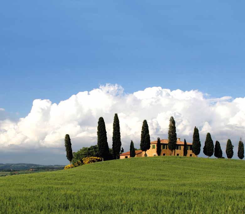 Tuscany indulgence Wine Festival in Tuscany Discover this wonderful corner of Tuscany. Wine and typical local products from one of the most famous wine regions in the world.