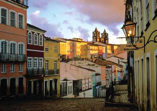 SALVADOR CITY STAYS & DAY TOURS BRAZIL Blue and Yellow Macaw Shutterstock SALVADOR DE BAHIA CITY STAY 3 days/2 nights From $493 per person twin share Departs daily ex Salvador UNESCO World Heritage