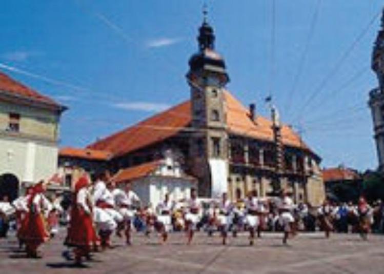 The oldest town in Slovenia, Ptuj is located just a short drive from Maribor. The writer Tacitus mentioned it for the first time already in the year 69. Numerous archaeological remains prove.