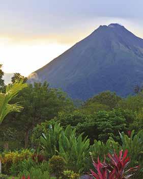 Day 4 Arenal Volcano 5-6 hours trekking After checking out of our hotel and having breakfast, we will transfer to the Arenal Volcano area, which is blessed with surrounding natural beauty, including