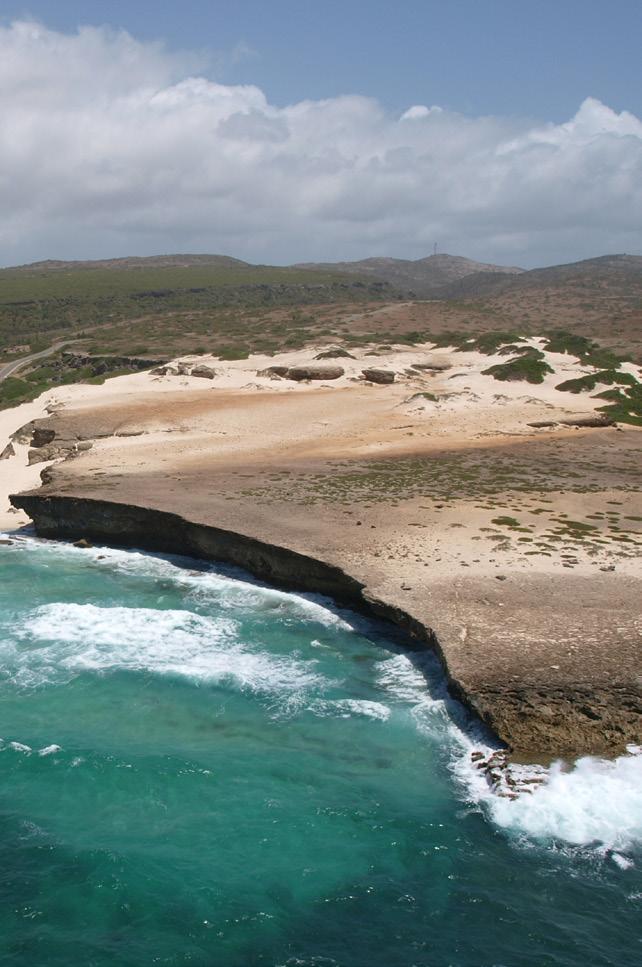 Environment Cluster Habitat and Species Protection Aruba has three protected natural reserves: National Park Arikok, which covers