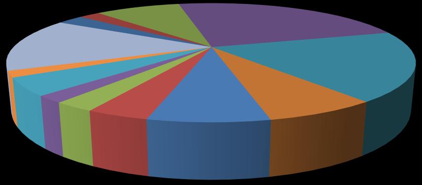 Chart 17: Spending by Merchant Category for the Venezuelan Market in North Carolina OTHER, 14.6% AUTO RENTAL, 2.1% LODGING, 2.6% RESTAURANTS, 8.6% CLOTHING/JEWELRY/ ACCESSORIES, 23.9% 18.