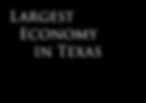 7th richest metro area by per capita income Largest Economy in Texas Highly diversified economy mitigates risk against potential downturns in a given economic sector no sector has greater