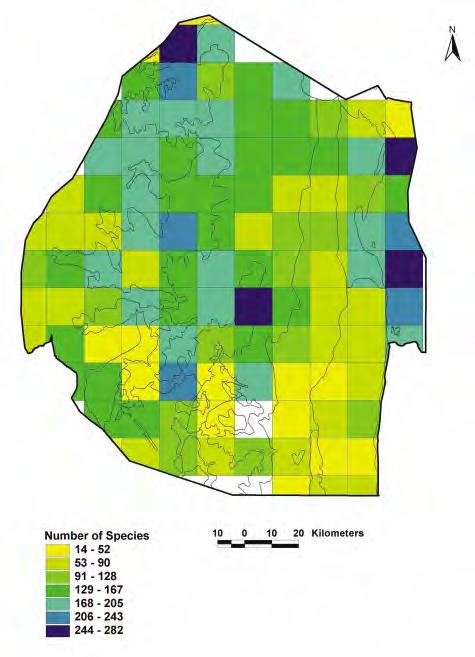 Map 4. Distribution of species richness of trees in Swaziland.