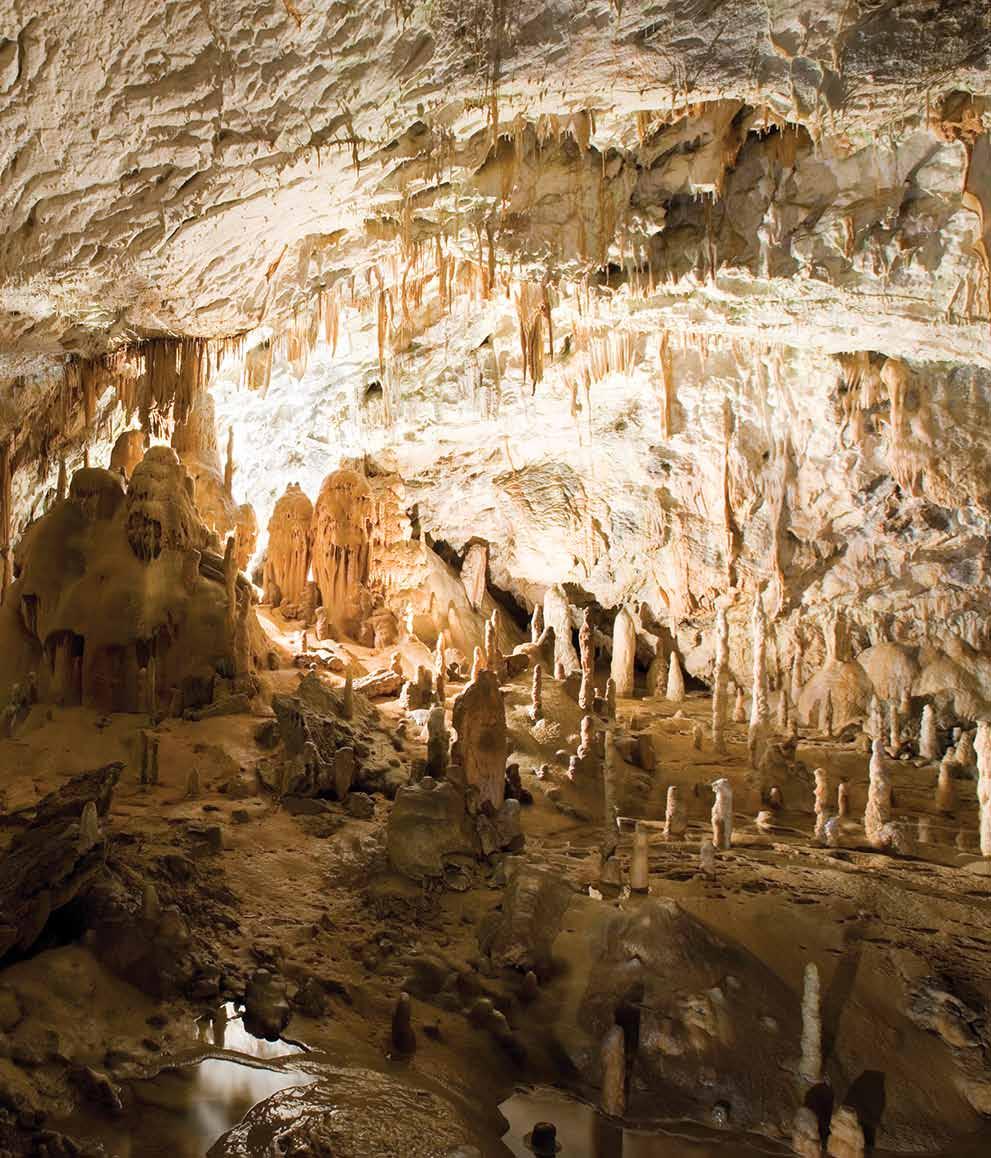 Postojna Cave Postojna Cave can easily be considered the greatest sight in Slovenia and a majestic creation of nature, which is known around the world.