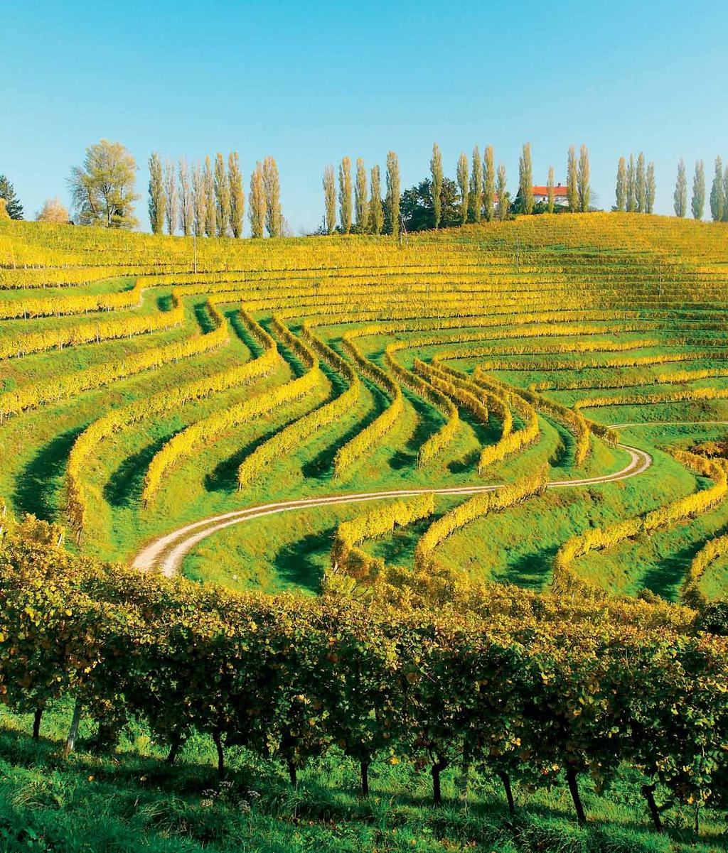 Slovenian wine-producing regions Slovenia a land of wine