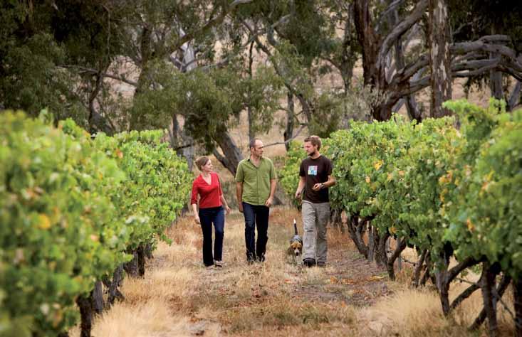 Harcourt Valley Vineyard, Bendigo Ingredients for success Some important ingredients for VIC success include: Ensure a healthy and collaborative relationship with the Council, the Regional Tourism