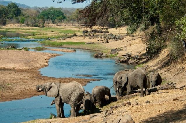 Highlights: Explore two of Tanzania's hidden wildlife jewels, the Selous Game Reserve & Ruaha National Park 4 nights in Selous & 4 nights in Ruaha