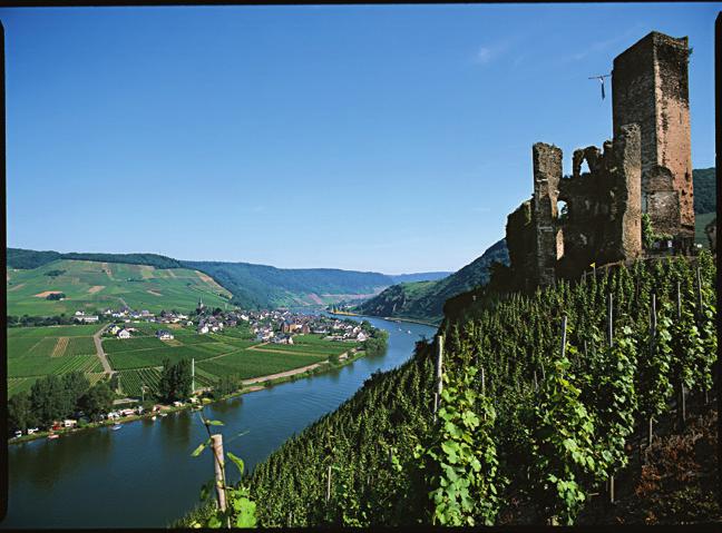 WATCH VIDEOS & FILMS ONLINE Learn more about Romance of the Rhine & Mosel TRIP EXPERIENCE TRIP ITINERARY PROGRAM DIRECTOR Watch travelers visit Cochem Castle and sample wines during a vineyard tour