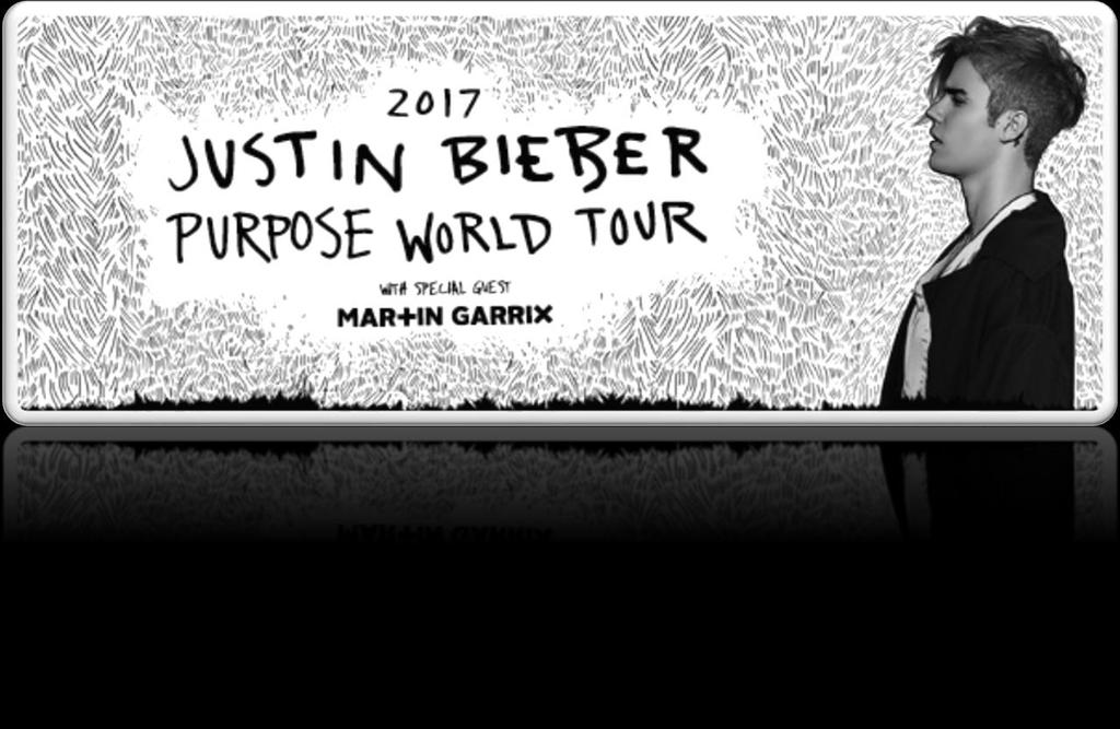 Bieber Purpose