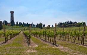 Day 5: Trip into the History of Italy 50 km Today, you will follow lonely roads, through vineyards, peach orchards and