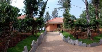 One session of Tea Plantation walk during the stay 20% discount on Food and