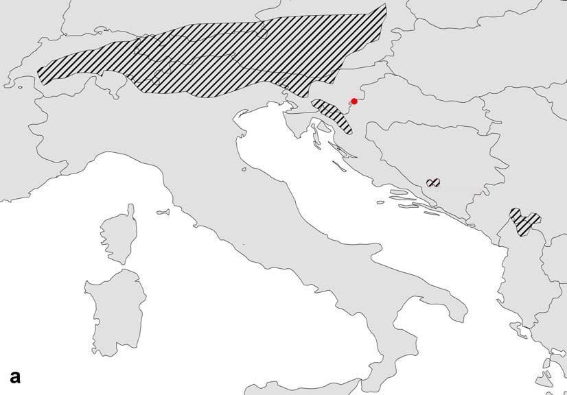 Figure 1. (a) Currently known areal of Salamandra atra (redrawn form http://www.iucnredlist.