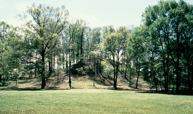 Number of Mounds: 6, 6 ridges Number of Visible Mounds: 5, 6 ridges Summer Viewing: Excellent Winter Viewing: Excellent Painting by Martin Pate Painting by Martin Pate At the time Poverty Point was