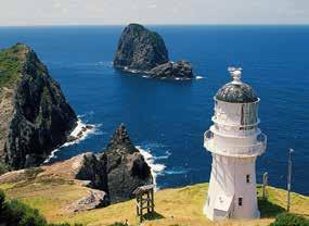 Includes: Return cruise to the Hole in the Rock via Otehei Bay Travel through the Hole in the Rock when conditions permit See Cape Brett Peninsula and the Cape