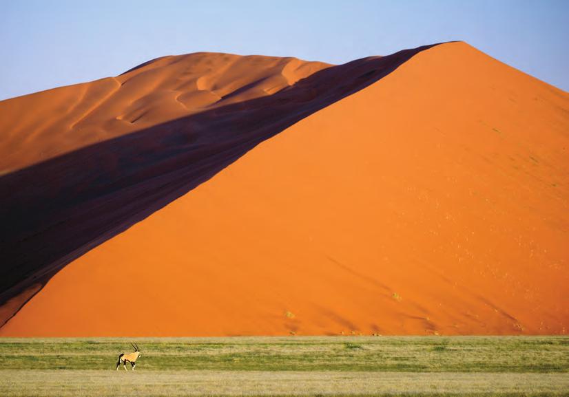 Some of the dunes at Sossusvlei reach as high as 1,300 feet.