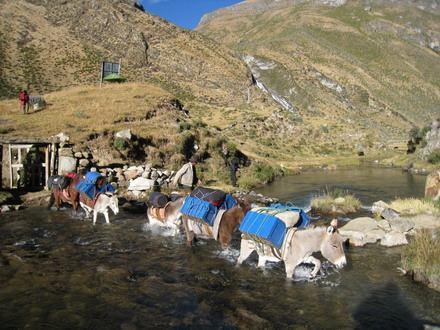! We arrive in Huaraz at about 06:00pm. Donkeys Crossing River Jahuacocha Llamac Pass Day 11: OPTIONAL EXTRA DAY We stay at Jahuacocha.