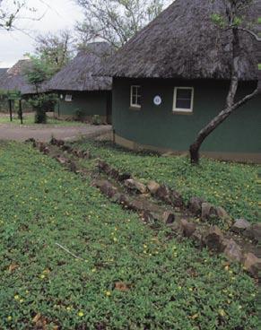 KRUGER NATIONAL PARK PEOPLE AND CONSERVATION Relations with surrounding communities The number of villages that form the first level of KNP neighbours totals188.