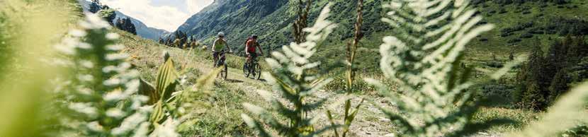 Is mountain biking unknown territory for you? Then why not try a gentle start along the Stanzertal cycle path.