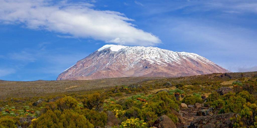8 days Starts/Ends: Kilimanjaro Reach for the skies and climb to the summit of the world s tallest freestanding mountain and the highest point in Africa, following the quieter and more scenic Rongai