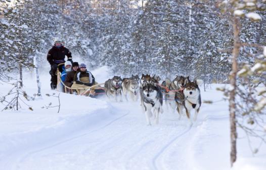 DAY 3-5 Lapland Days at leisure. The hotel will provide optional excursions for additional cost, payable locally.