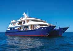 M/C Petrel (Departs Fri) $9334 $9334^ Cormorant (Departs Sat) $8895 $13252 Ocean Spray (Departs Sat) $8895 $8895^ ^Dedicated single cabin (subject to availability) - all other cabins for single use