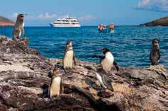 Journey. Both vessels offer Galapagos explorations with a very small number of like-minded travellers and a range of quality facilities onboard.