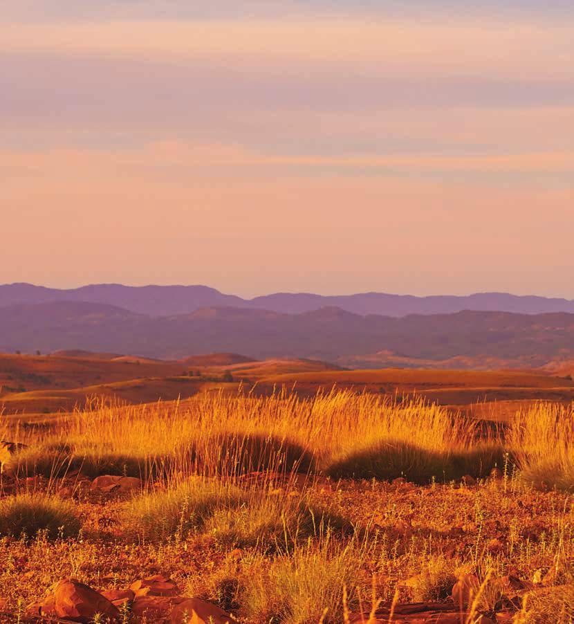 4 Day FLINDERS RANGES OUTBACK TOUR Discover the wild landscapes of the Flinders Ranges on this premium 4 day tour.