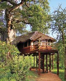 SkySafari encompasses the very best of East Africa s wondrous landscape; the foothills of Kilimanjaro s sister mountain, Mount Meru; the magical tree houses of Tarangire; the drama and beauty of the