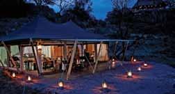 SkySafari Plus : Enhance Your Experience Extend Your Stay at Serengeti Migration Camp Enhance your SkySafari Classic experience by extending your stay at Serengeti Migration Camp.