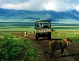 Set high on the slopes of Olmoti volcano, with sweeping views all the way to the Serengeti, you can be at the famous Ngorongoro Crater floor at dawn but you will be far from any other camp.