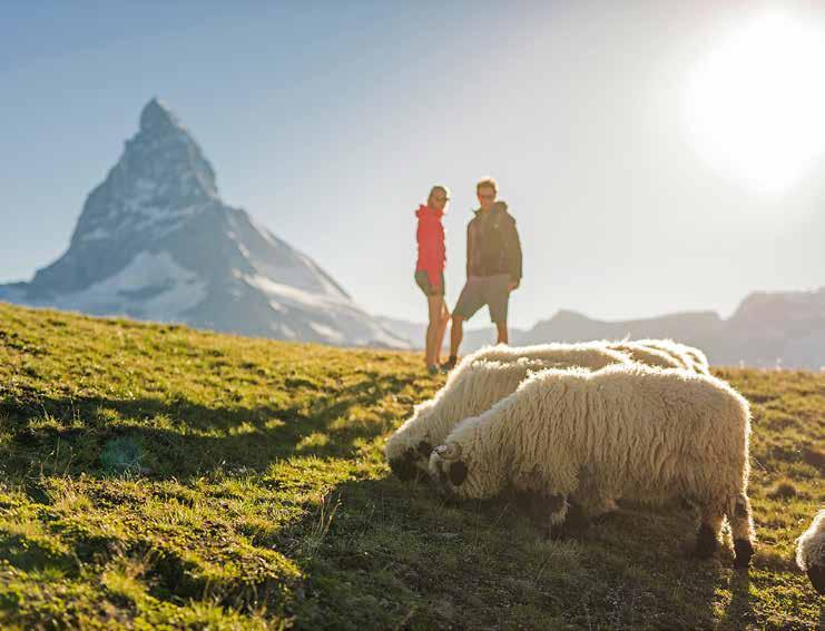 Moritz Austria Vienna Innsbruck Davos Milan Linate / Malpensa Venice See the Matterhorn once in a lifetime. This is a must. The highlights: highest lift station in Europe.